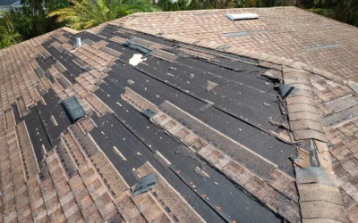 Roof Repair vs. Roof Replacement in Sarasota: 5 Reasons To Call a Professional