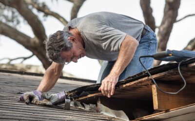 10 DIY Roof Maintenance Tips Every Homeowner Should Know