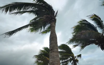 The Hurricane Proof House: Does It Exist? What You Need to Know about Roofing Materials That Can Stand up to Mother Nature