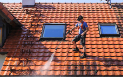 How to Clean Your Roof: An Expert Roof Care Guide