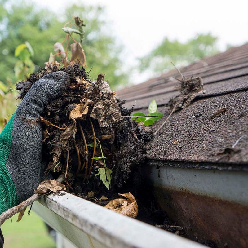 Roofing Replacement